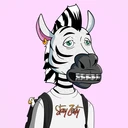 ZESTYZEBRA1824