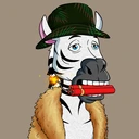 ZESTYZEBRA592