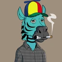 ZESTYZEBRA2243