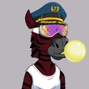 ZESTYZEBRA1183