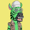 ZESTYZEBRA3710