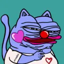 CHONKS4150
