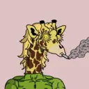 GenuineGiraffe_3689