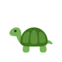 🐢