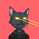 TheEliteCats470