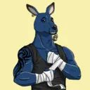 kangaroofightsociety#1545