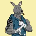 kangaroofightsociety#3585