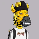 ZESTYZEBRA4352