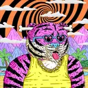 Tigerz1881