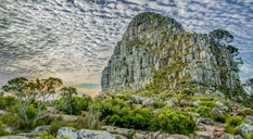 LionsHeadCapetown