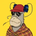 ChilledKong6266