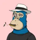 ChilledKong8395