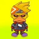 WRDUCKD282