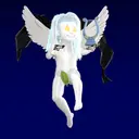 Angel07077