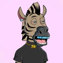 ZESTYZEBRA...