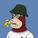 ChilledKong2976
