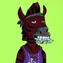 ZESTYZEBRA571
