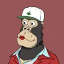 ChilledKong3155