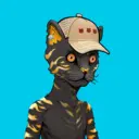 ALLEYKATZ06626