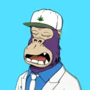 ChilledKong3528