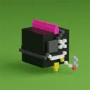 metaPXL5562