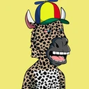 ZESTYZEBRA5083