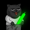 Kash The Cat