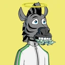 ZESTYZEBRA1119