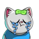crycat2091