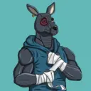 kangaroofightsociety#2776