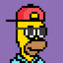 HomerPunks9618