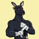 kangaroofightsociety#539