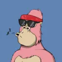 ChilledKong4926