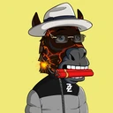 ZESTYZEBRA2516