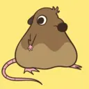 Chonk McMuffin