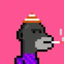MonkeyWifhat3218