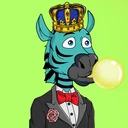 ZESTYZEBRA4245