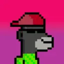 MonkeyWifhat0517