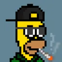 HomerPunks8966
