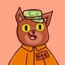 AdaBears456