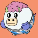 Bubulls0905