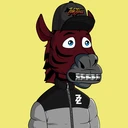 ZESTYZEBRA3134