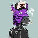 ZESTYZEBRA2261