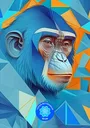NFTN173NyiragongoDRC