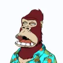 ChilledKong0484
