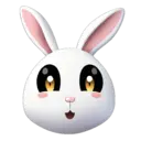 raBITs21