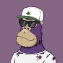ChilledKong1103
