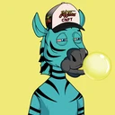 ZESTYZEBRA4106