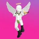 Angel01243