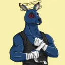 kangaroofightsociety#534
